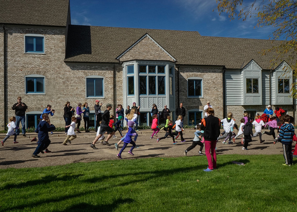 Daffodil Dash Action