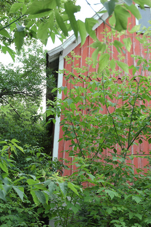 2023 Boorsma Farm Barn Original Exterior Architecture Details Documentation