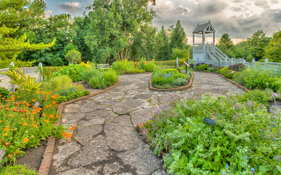 The Kitchen Herb Garden