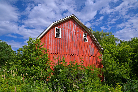 BoorsmaBarn2023_LoriSather_02_239958