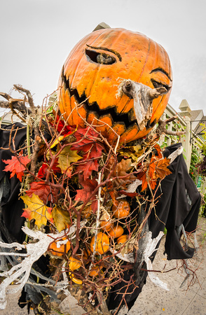 Scarecrows in the Garden 2014