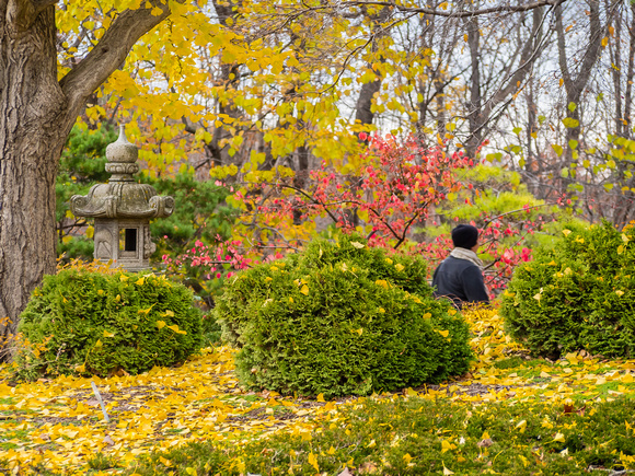 Entrance to Japanese Garden