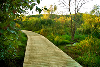 Bog Walk
