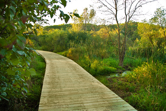 The new Bog Walk 2010