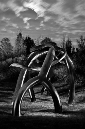 Steelroots at night