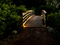 2023 Fireflies