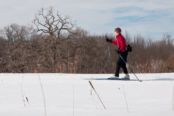 Winter Sport