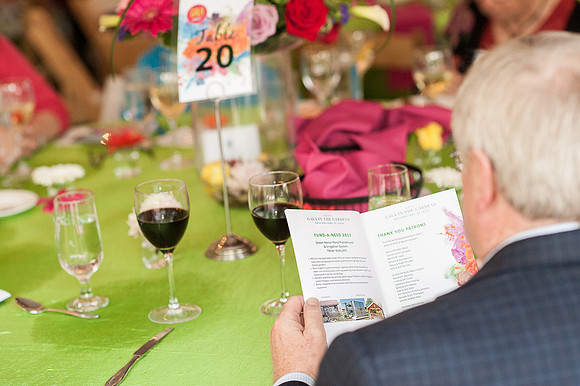 2017 Gala in the Gardens