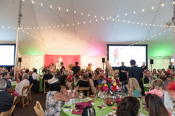 2017 Gala in the Gardens