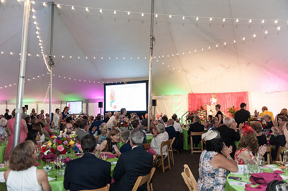 2017 Gala in the Gardens