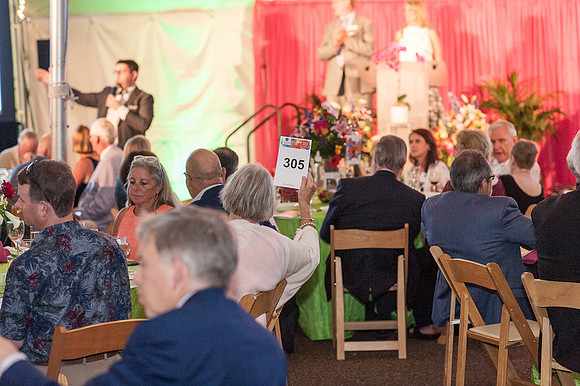 2017 Gala in the Gardens