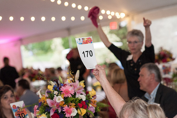 2017 Gala in the Gardens