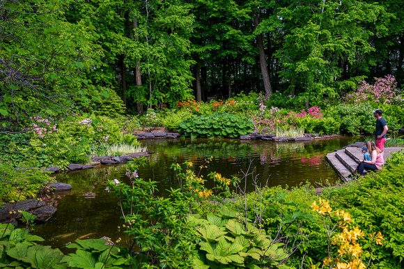 Woodland Azalea Garden_Todd Mulvihil_1600
