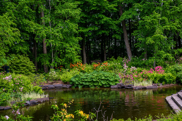 Woodland Azalea Garden_Todd Mulvihil_1607