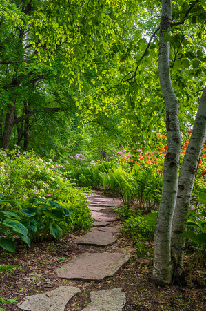 Woodland Azalea Garden_Todd Mulvihil_1633