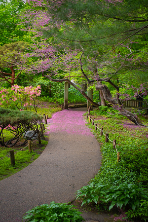 Spring Showers at the Garden