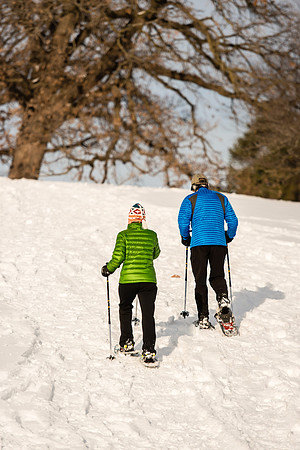 snowshoeing up the hill by the Wilson Rose Garden