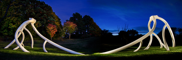 Steel Roots lit with spotlight