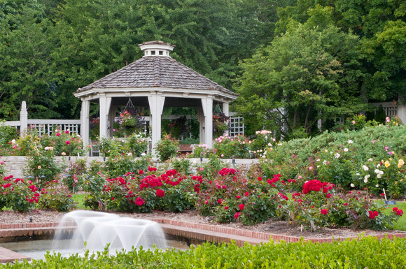 Wilson Rose Garden