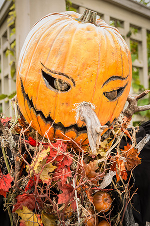 Scarecrows in the Garden 2014