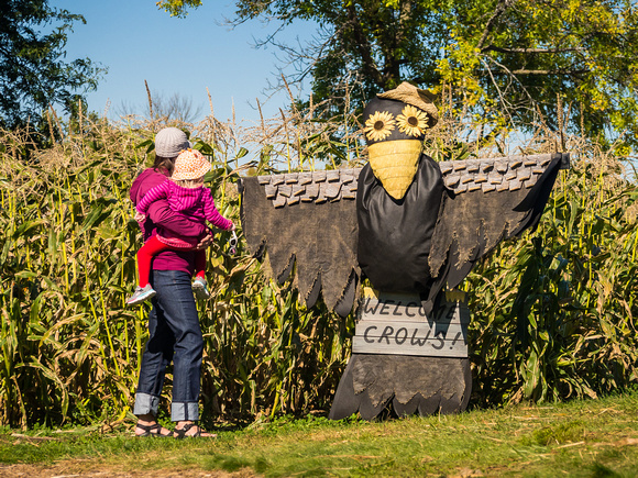 Visiting the Scarecrow