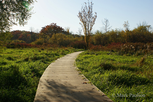 Bog Trail
