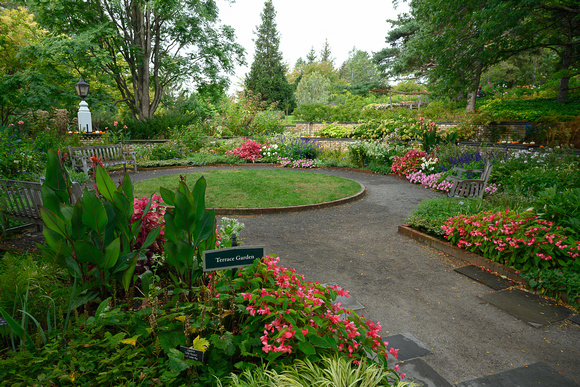 MacMillan Terrace Garden, Autumn 2022