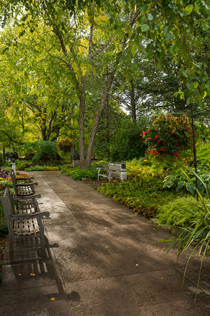 Morgan Terrace Autumn 01