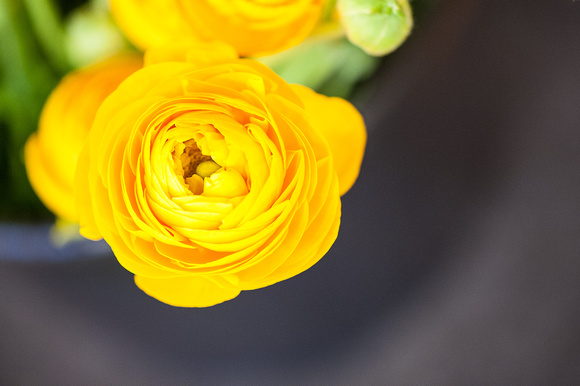 Design a Spring Floral Basket