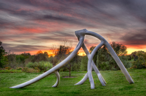 Steel Roots Sunset