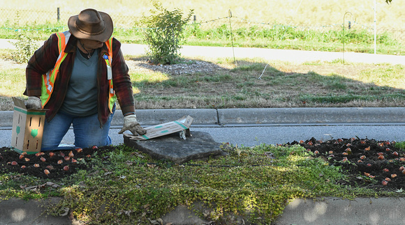 2023 Staff and Volunteers Planting Tulip Bulbs