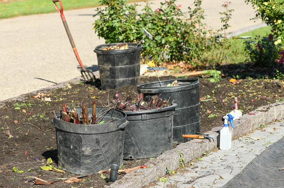 2023 Staff and Volunteers Planting Tulip Bulbs