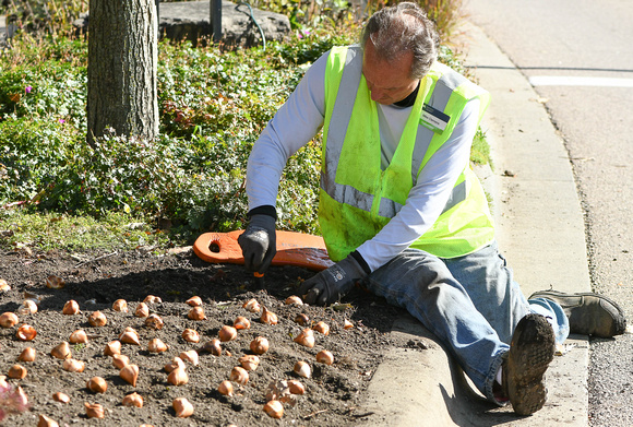 2023 Staff and Volunteers Planting Tulip Bulbs