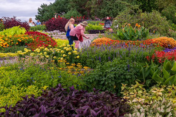 Annual Garden, Summer 2021