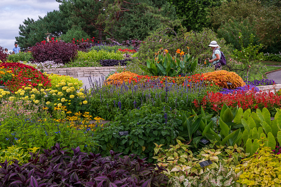Annual Garden, Summer 2021