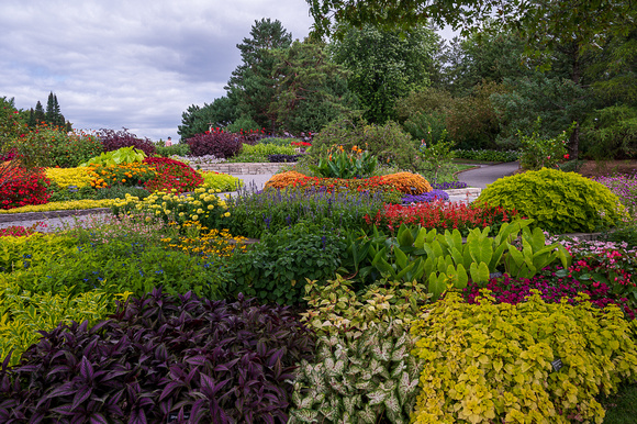 Annual Garden, Summer 2021