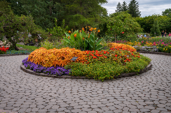 Annual Garden, Summer 2021