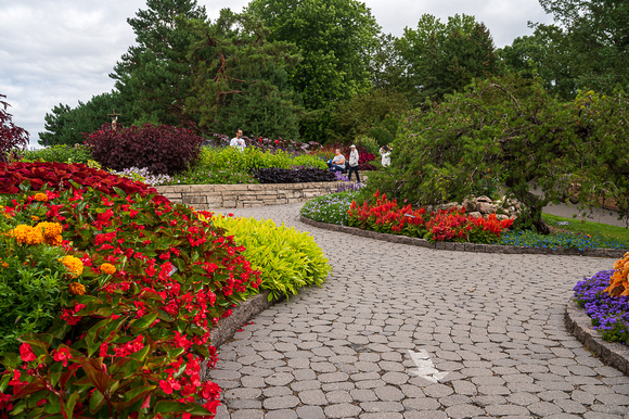 Annual Garden, Summer 2021