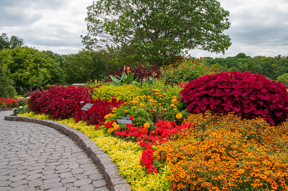 Annual Garden, Summer 2021