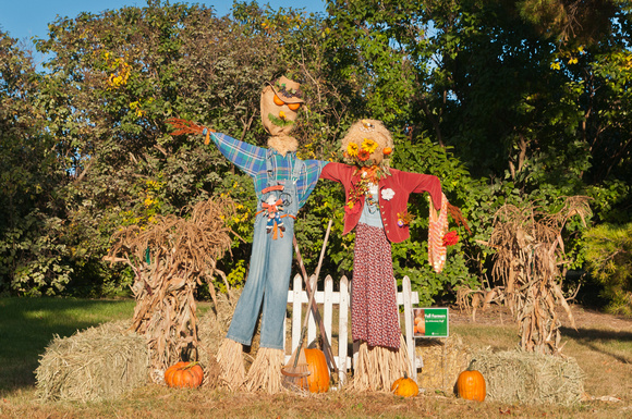 Scarecrows on Parade 2011