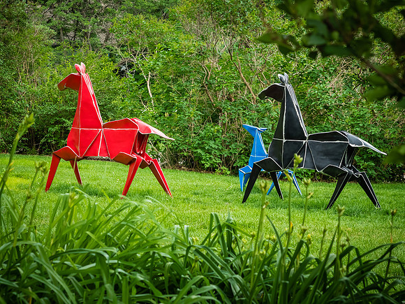 Painted Ponies