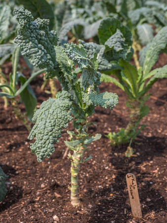 Farm Documentation