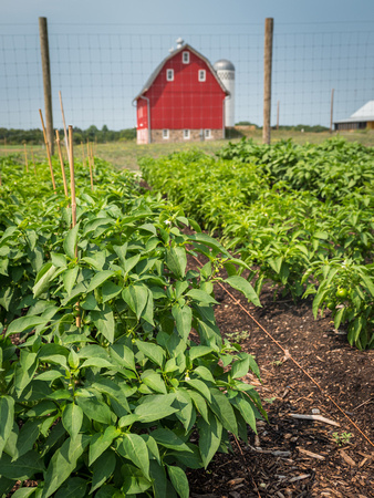 Farm Documentation