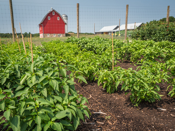 Farm Documentation