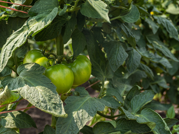 Farm Documentation