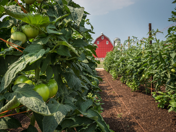 Farm Documentation