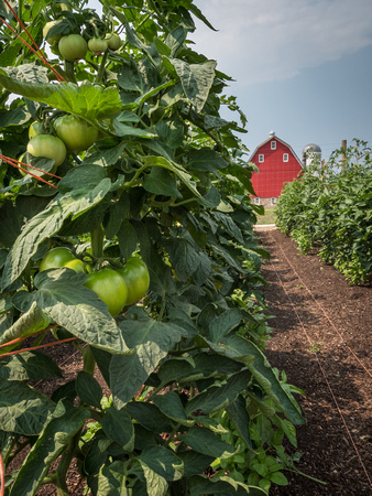Farm Documentation