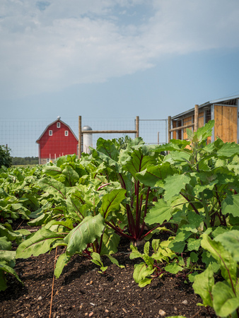 Farm Documentation
