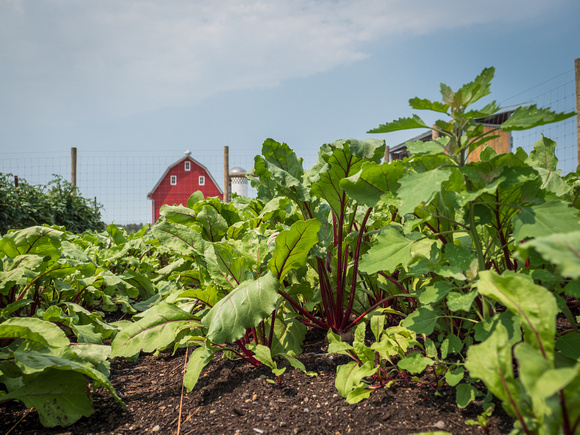 Farm Documentation