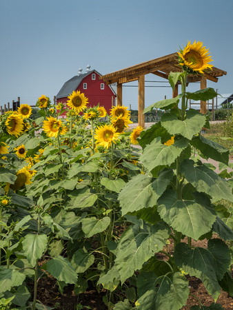 Farm Documentation